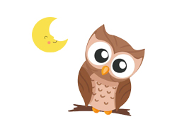 第227集 猫头鹰为什么喜欢在晚上活动？