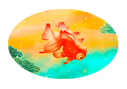 第319集 金鱼你从哪里来？