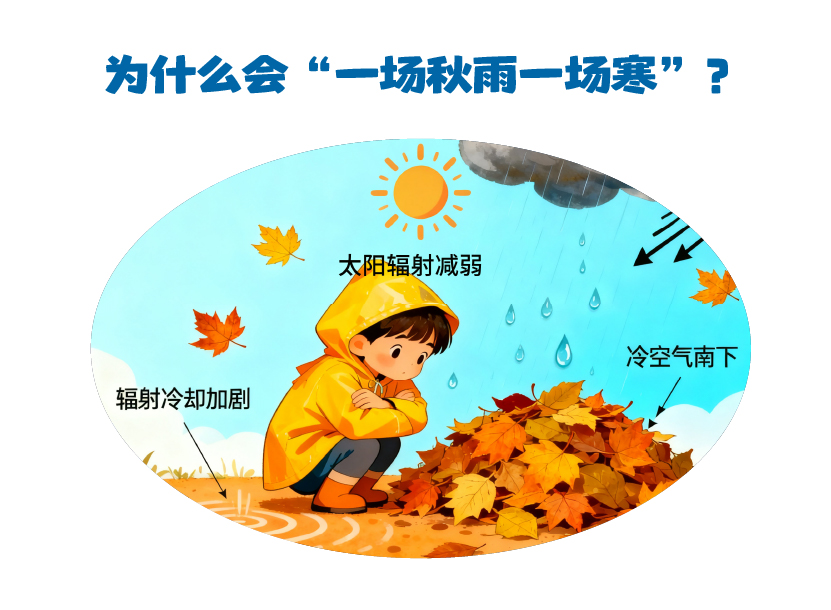 第467集 为什么会“一场秋雨一场寒”？