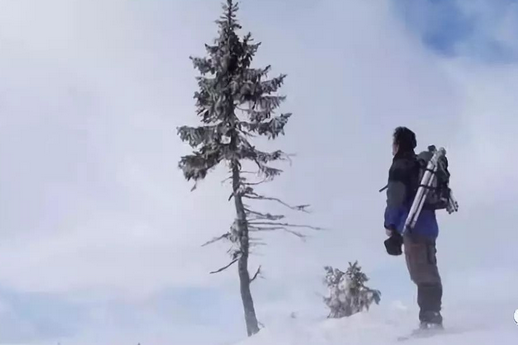 年轮 秘密 年轮 秘密